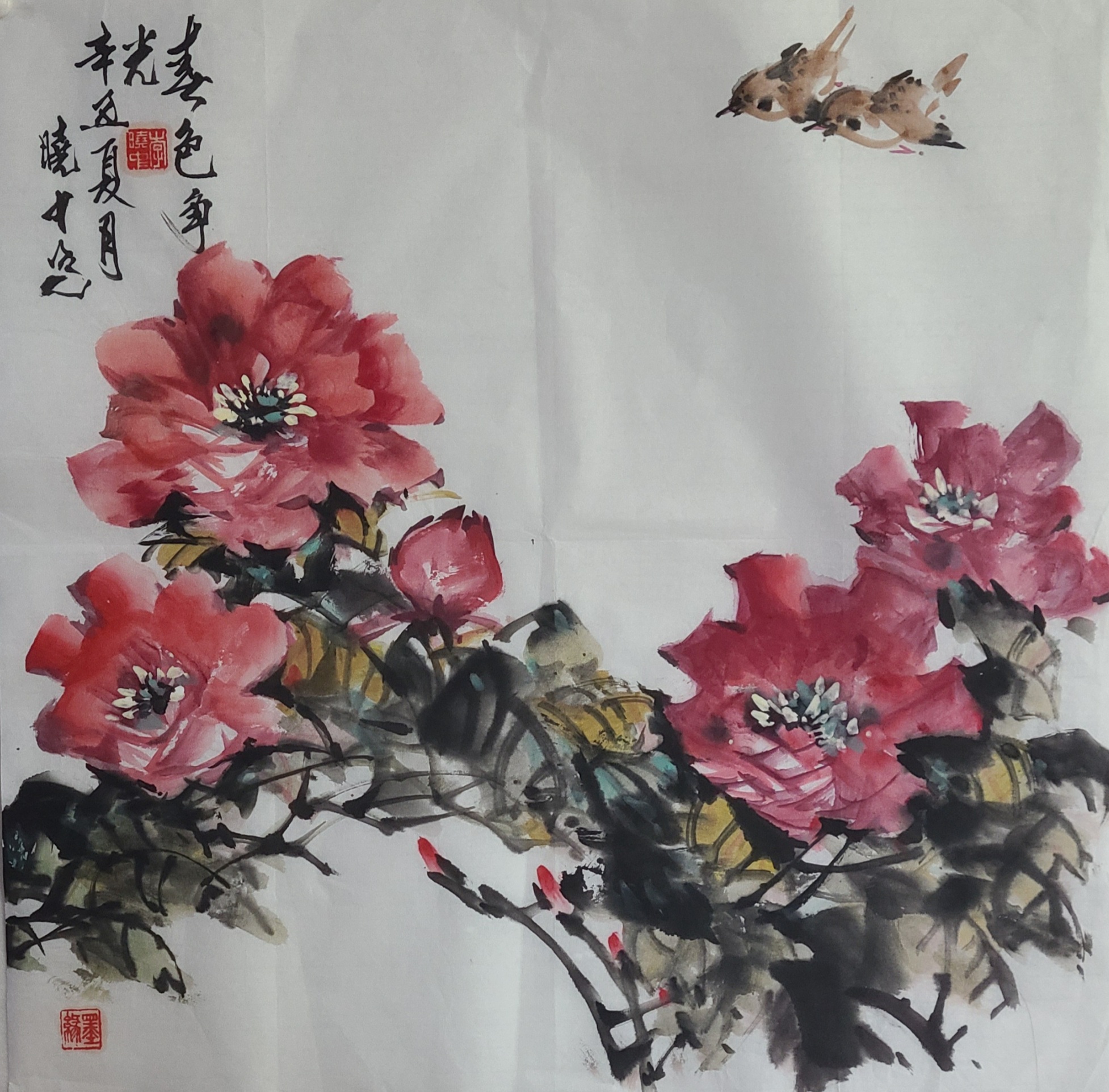 春色争光
