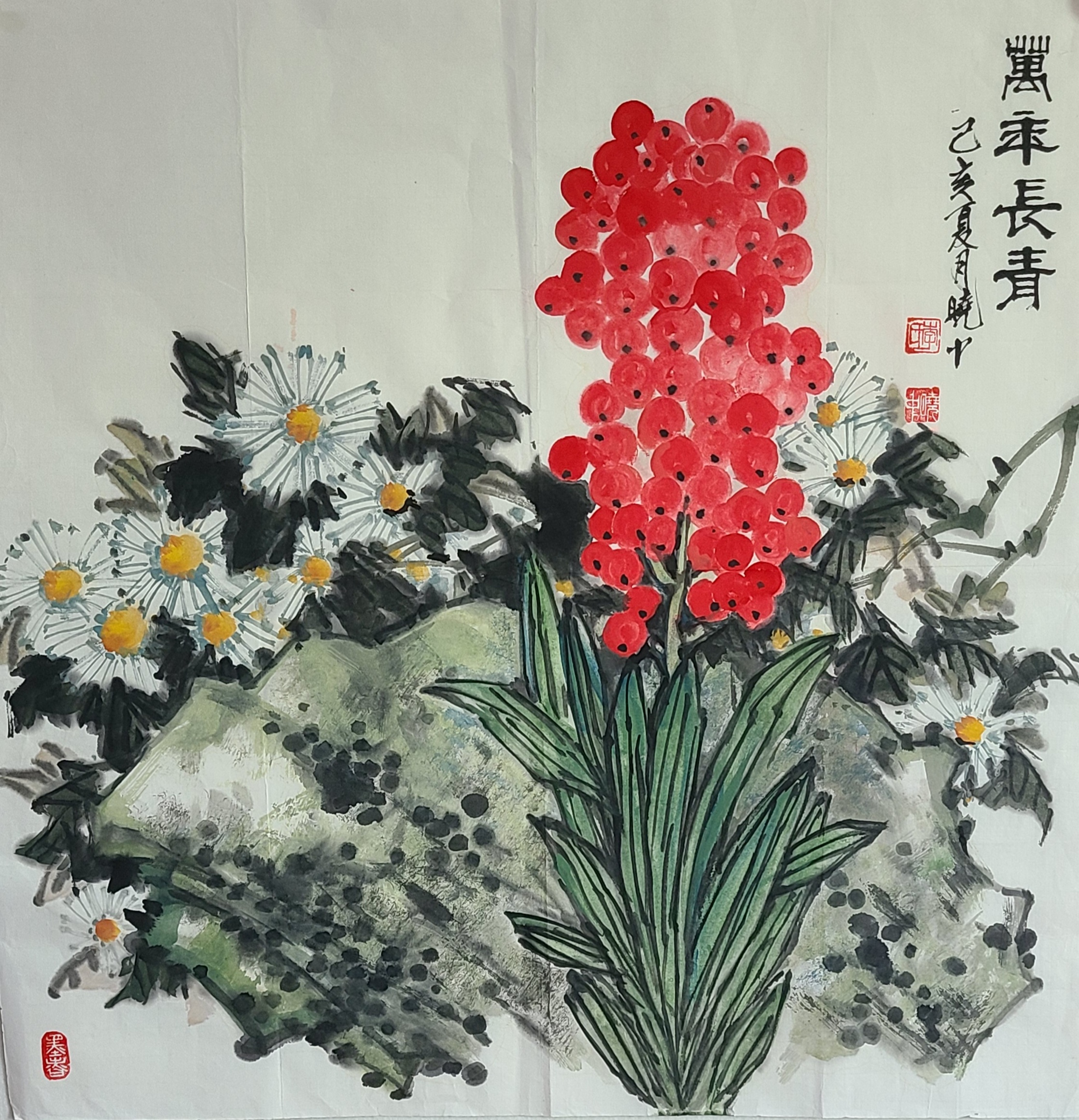万年长青
