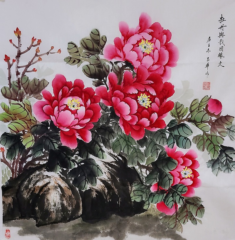 国画牡丹写意