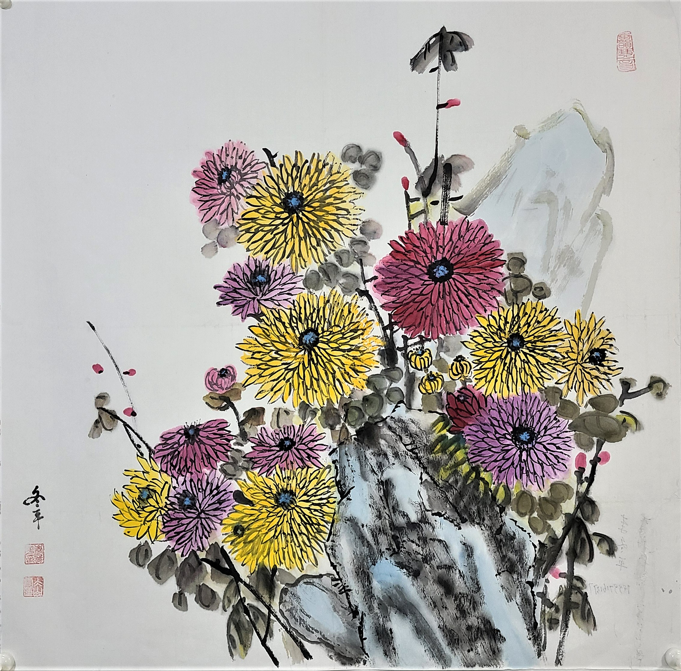 菊花