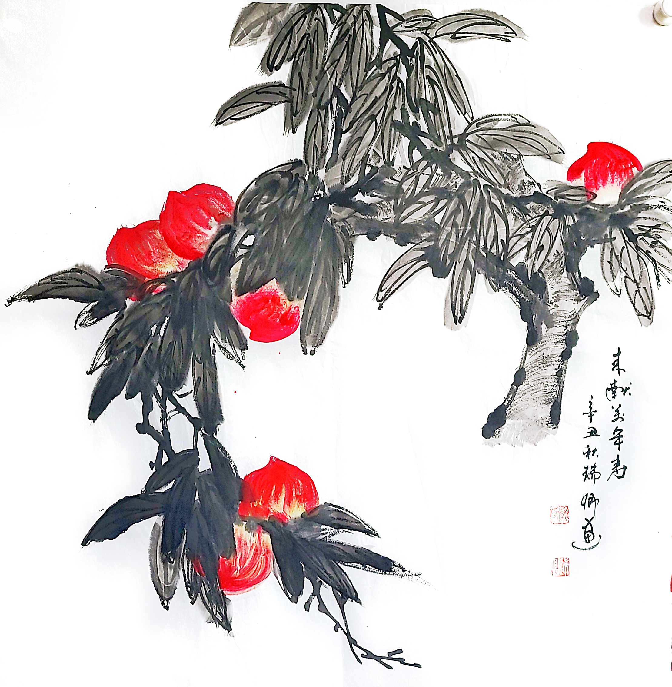 来献万年寿